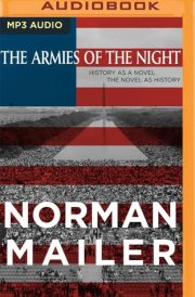 Armies of the Night, The cover image