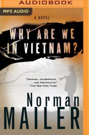 Why Are We in Vietnam? cover image