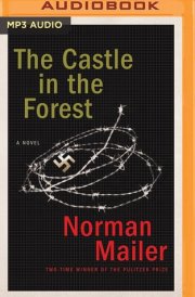 Castle in the Forest, The cover image