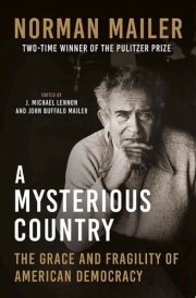 A Mysterious Country cover image
