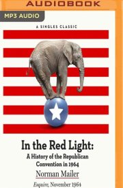 In the Red Light: A History of the Republican Convention in 1964 cover image