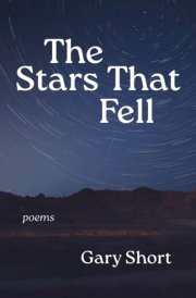 The Stars That Fell cover image