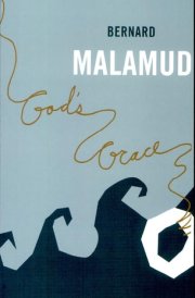 God's Grace A Novel cover image