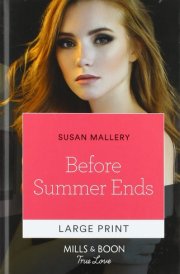Before Summer Ends cover image