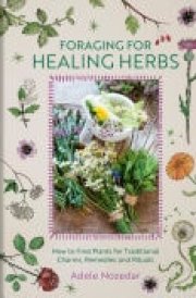 Foraging for Healing Herbs How to Find Plants for Traditional Charms, Remedies and Rituals cover image