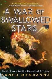 A War of Swallowed Stars cover image