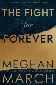 The Fight for Forever cover image