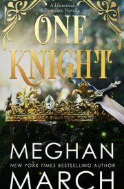 One Knight - A Historical Romance Novella cover image