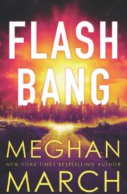 Flash Bang (Post-Apocalyptic Menage Romance) cover image