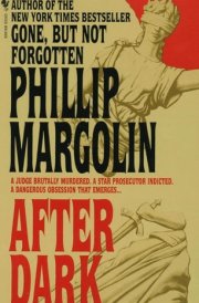After Dark A Novel cover image