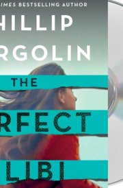 The Perfect Alibi: A Novel (Robin Lockwood, 2) cover image