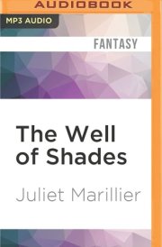 Well of Shades, The (Bridei Chronicles) cover image