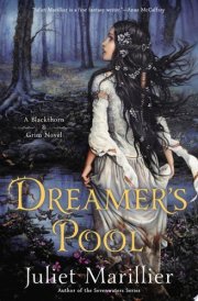 Dreamer's Pool cover image