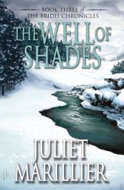 The Well of Shades cover image