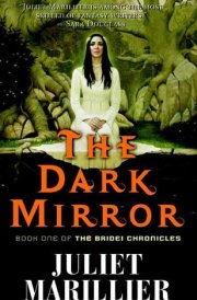 The Dark Mirror Book One of the Bridei Chronicles cover image