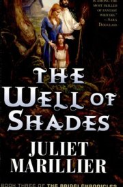The Well of Shades Book Three of The Bridei Chronicles cover image