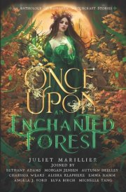 Once Upon an Enchanted Forest An Anthology of Romantic Witchcraft Stories cover image