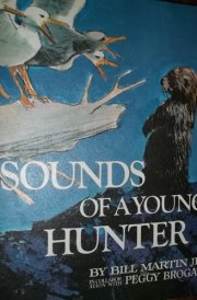 Sounds of Language Readers: Sounds of the storyteller cover image