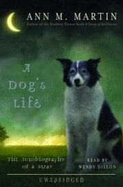 A Dog's Life: The Autobiography of a Stray cover image