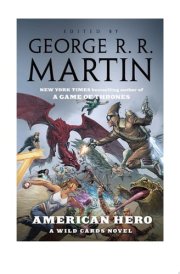 American Hero cover image