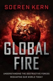 Global Fire Understanding the Destructive Forces Reshaping Our World Today cover image