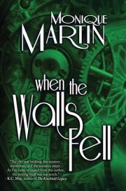 When the Walls Fell Out of Time, Book 2 cover image