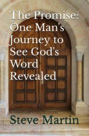 The Promise: One Man's Journey to See God's Word Revealed cover image