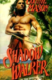 Shadow Walker cover image