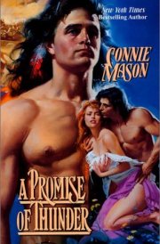 A Promise of Thunder cover image