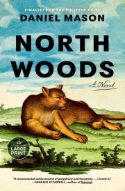 North Woods A Novel cover image