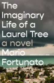 The Imaginary Life of a Laurel Tree A Novel cover image