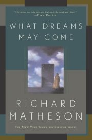 What Dreams May Come A Novel cover image