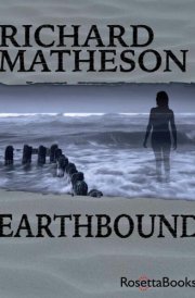 Earthbound cover image