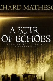 A Stir of Echoes cover image
