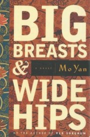 Big Breasts and Wide Hips cover image