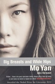 Big Breasts and Wide Hips cover image