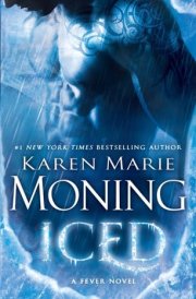 Iced Fever Series Book 6 cover image