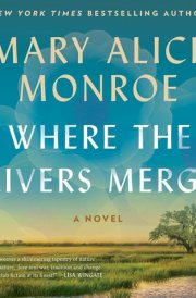 Where the Rivers Merge: A Novel cover image