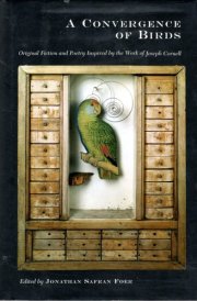 A Convergence of Birds: Original Fiction and Poetry Inspired by Joseph Cornell cover image