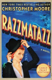Razzmatazz A Novel [Large Print] cover image