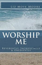 Worship Me cover image