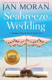 Seabreeze Wedding cover image