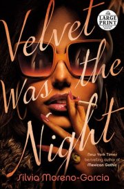 Velvet Was the Night cover image