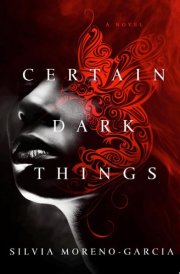 Certain Dark Things A Novel cover image