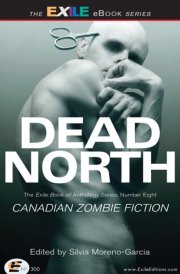 Dead North: Canadian Zombie Fiction cover image