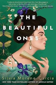 The Beautiful Ones cover image