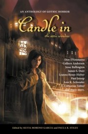 Candle in the Attic Window cover image