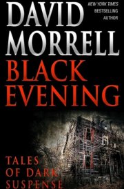 Black Evening Tales of Dark Suspense cover image