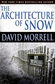The Architecture of Snow cover image