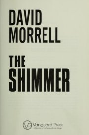 The Shimmer cover image
